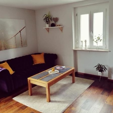 Ferienwohnung Suedschwarzwald Wehr  Kültér fotó
